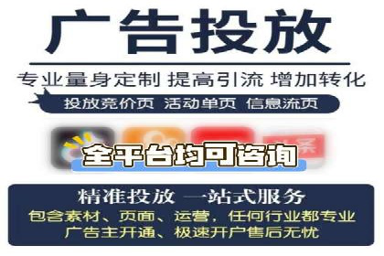 托管竞价sem案例分享：某电商平台的成功之路